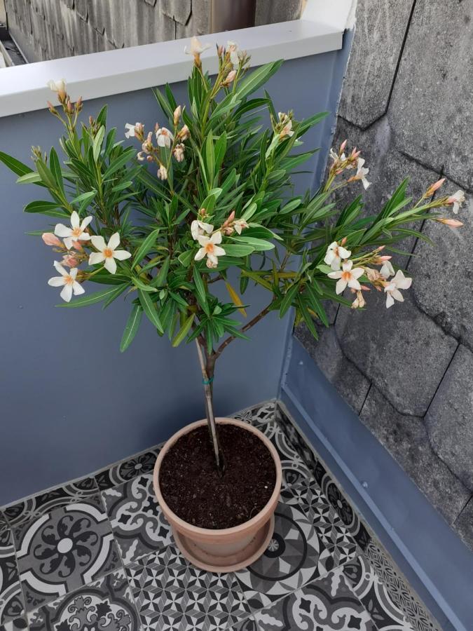 זאגרב Studio Apartman Bohem מראה חיצוני תמונה